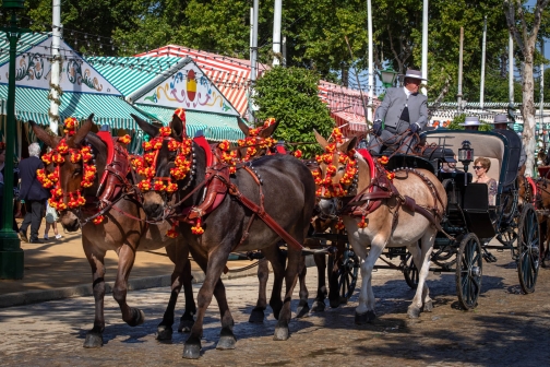 Oslavy Feria de Abril, Sevilla 2022 - Planeta lidí