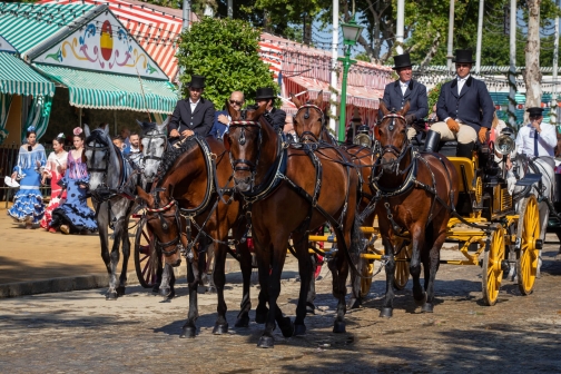 Oslavy Feria de Abril, Sevilla 2022 - Planeta lidí