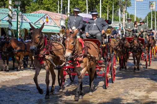 Oslavy Feria de Abril, Sevilla 2022 - Planeta lidí