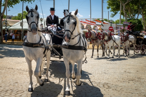 Oslavy Feria de Abril, Sevilla 2022 - Planeta lidí