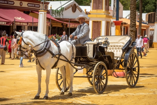 Feria de caballo, oslava koní - Jerez de la Frontera 2022 - Planeta lidí