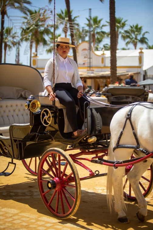 Feria de caballo, oslava koní - Jerez de la Frontera 2022 - Planeta lidí