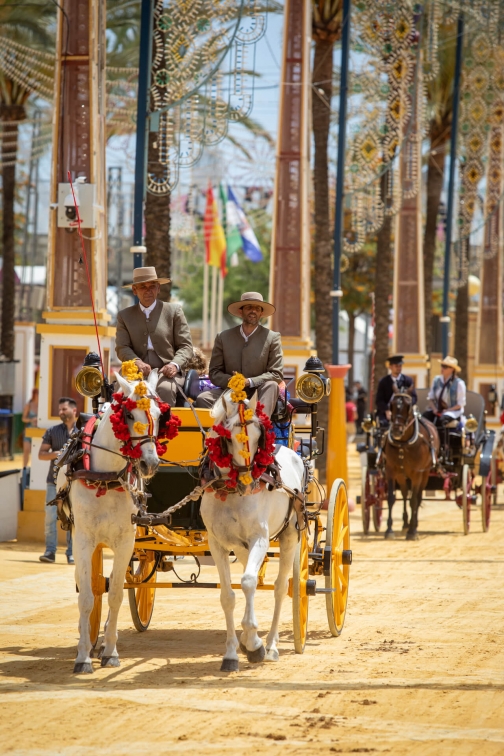 Feria de caballo, oslava koní - Jerez de la Frontera 2022 - Planeta lidí