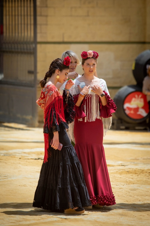 Feria de caballo, oslava koní - Jerez de la Frontera 2022 - Planeta lidí