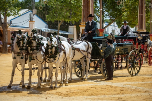 Feria de caballo, oslava koní - Jerez de la Frontera 2022 - Planeta lidí