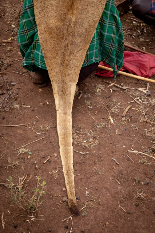 East Pokot | Východní Pokoti | Severní Keňa - Planeta lidí