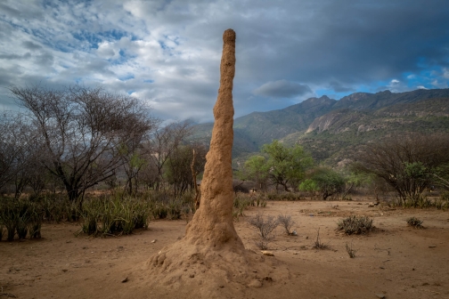 West Pokot - severní Keňa | Planeta lidí