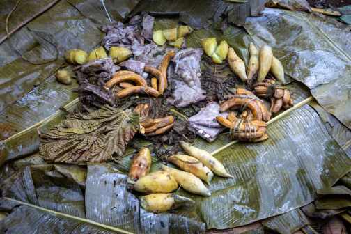 Asarové - Asaro, Mudmen, Holosa - Papua - Nová Guinea | Planeta lidí