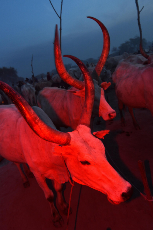 Pastevci Mundari, Jižní Súdán - Honza Košťál | Planeta lidí