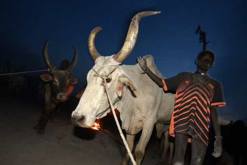 Pastevci Mundari, Jižní Súdán - Honza Košťál | Planeta lidí