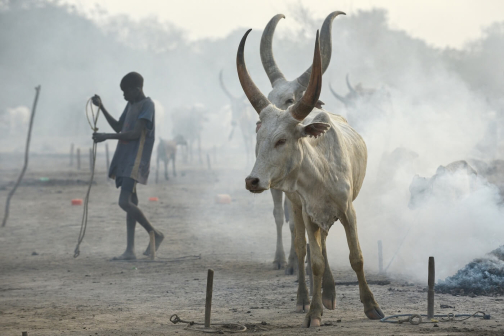 Pastevci Mundari, Jižní Súdán - Honza Košťál | Planeta lidí