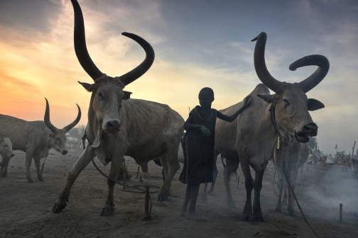 Pastevci Mundari, Jižní Súdán - Honza Košťál | Planeta lidí