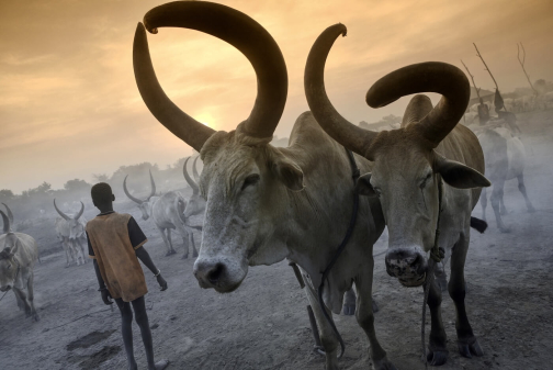 Pastevci Mundari, Jižní Súdán - Honza Košťál | Planeta lidí