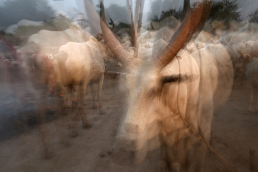 Pastevci Mundari, Jižní Súdán - Honza Košťál | Planeta lidí