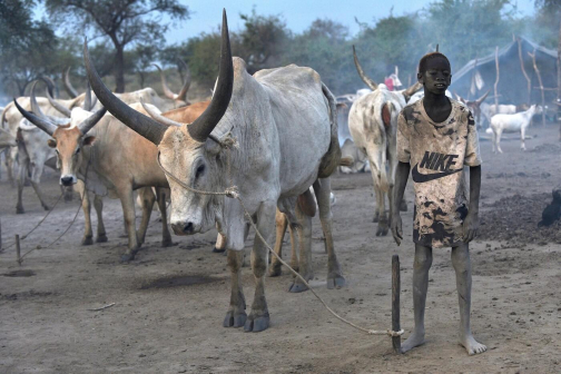 Pastevci Mundari, Jižní Súdán - Honza Košťál | Planeta lidí