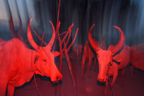 Pastevci Mundari, Jižní Súdán - Honza Košťál | Planeta lidí