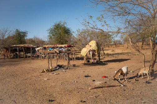 Wodaabe u městečka Roufout | Kmen Fulani | David Čečelský | Planeta lidí