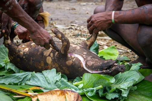 Vesnická zabíjačka, Daniové - Západní Papua - David Švejnoha |Planeta lidí