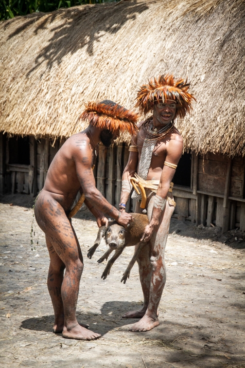 Vesnická zabíjačka, Daniové - Západní Papua - David Švejnoha |Planeta lidí