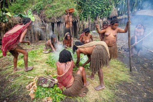 Vesnická zabíjačka, Daniové - Západní Papua - David Švejnoha |Planeta lidí