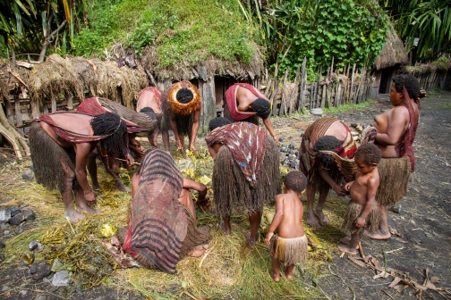 Vesnická zabíjačka, Daniové - Západní Papua - David Švejnoha |Planeta lidí