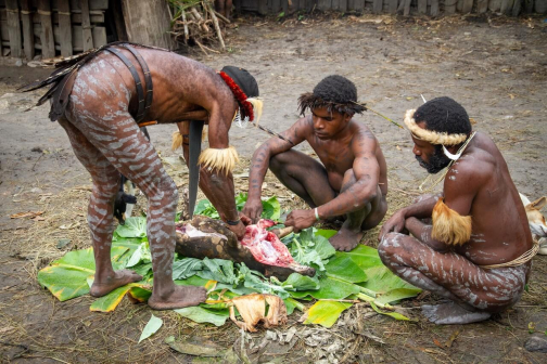 Vesnická zabíjačka, Daniové - Západní Papua - David Švejnoha | Planeta lidí