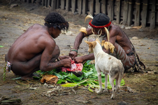 Vesnická zabíjačka, Daniové - Západní Papua - David Švejnoha | Planeta lidí