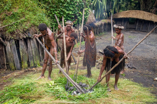 Vesnická zabíjačka, Daniové - Západní Papua - David Švejnoha | Planeta lidí