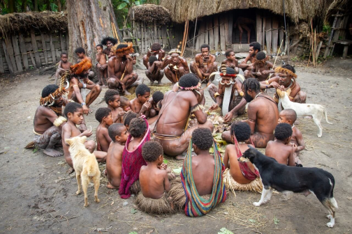 Vesnická zabíjačka, Daniové - Západní Papua - David Švejnoha | Planeta lidí