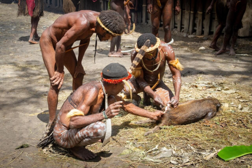 Vesnická zabíjačka, Daniové - Západní Papua - David Švejnoha | Planeta lidí