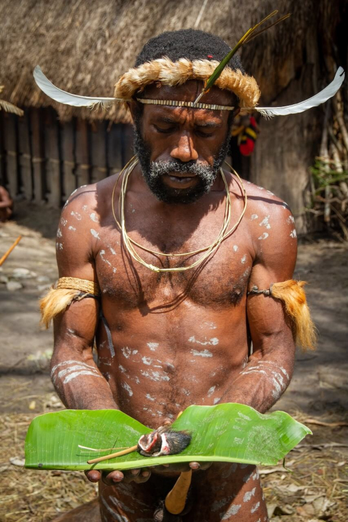Vesnická zabíjačka, Daniové - Západní Papua - David Švejnoha | Planeta lidí