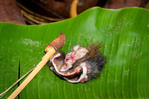 Vesnická zabíjačka, Daniové - Západní Papua - David Švejnoha | Planeta lidí