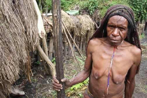 Kmen Dani, údolí Baliem - Západní Papua, Indonésie | Planeta lidí