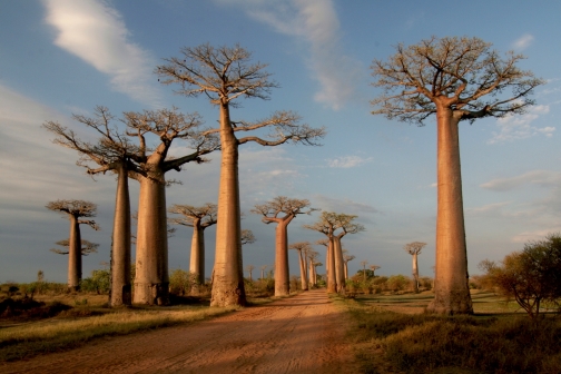 Morondava, Madagaskar - Miroslav Švejnoha - Planeta lidí