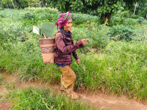 Kambodža, mizející svět horských kmenů - Milan Daněk | Planeta lidí