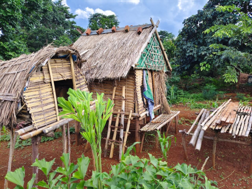 Kambodža, mizející svět horských kmenů - Milan Daněk | Planeta lidí