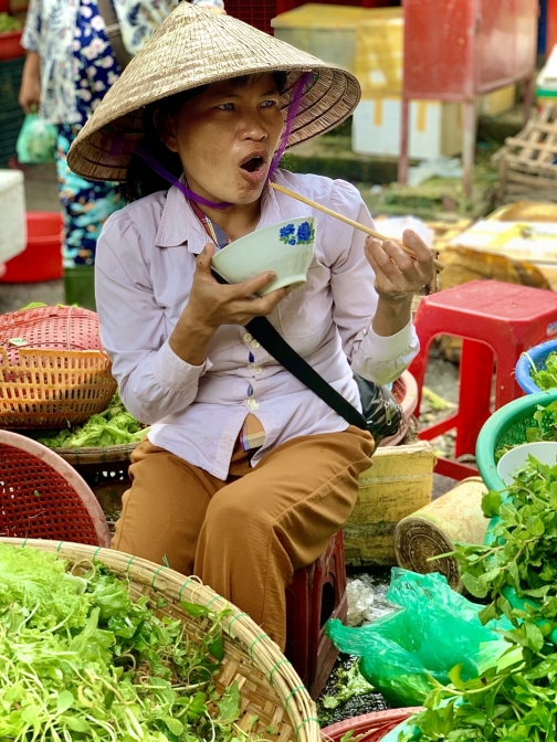 Vietnam - Země protikladů - Milan Václavík