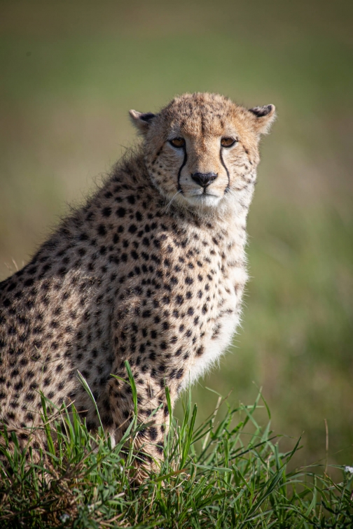 Přednáška - Tanzánie - Safari, trek a etnika - David Švejnoha | Planeta lidí