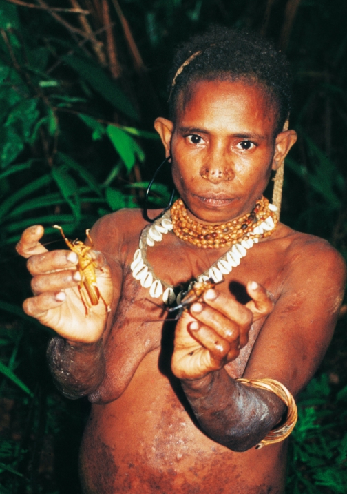 Korowai, Západní Papua - Rudolf Švaříček - Tajemná Indonésie
